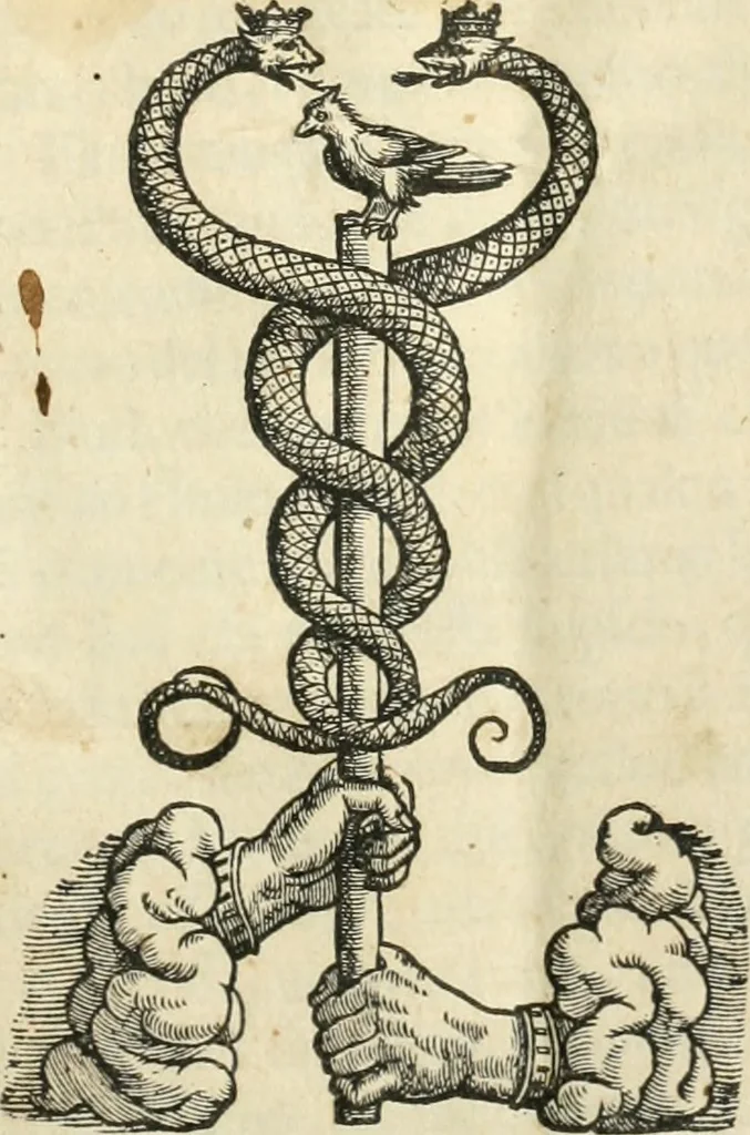 An illustration from Della fortificatione delle città, 1564, leaf 4