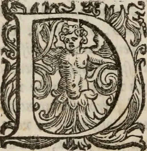 An illustration from Della gverra di Fiandra, 1637, leaf 125