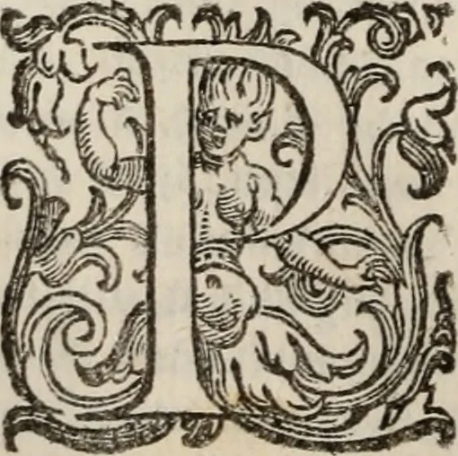 An illustration from Della gverra di Fiandra, 1637, leaf 205