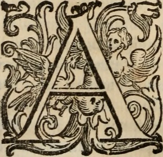 An illustration from Della gverra di Fiandra, 1637, leaf 233
