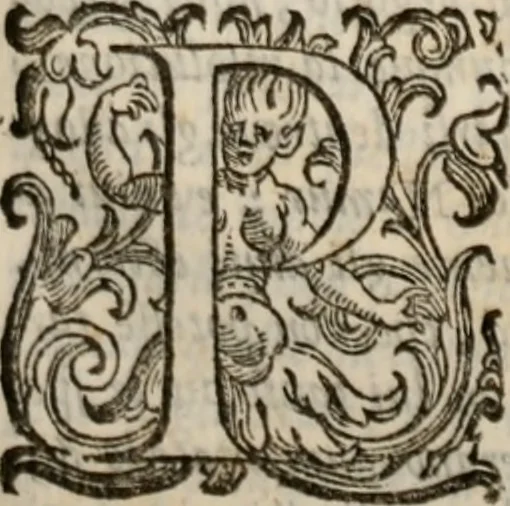 An illustration from Della gverra di Fiandra, 1637, leaf 324