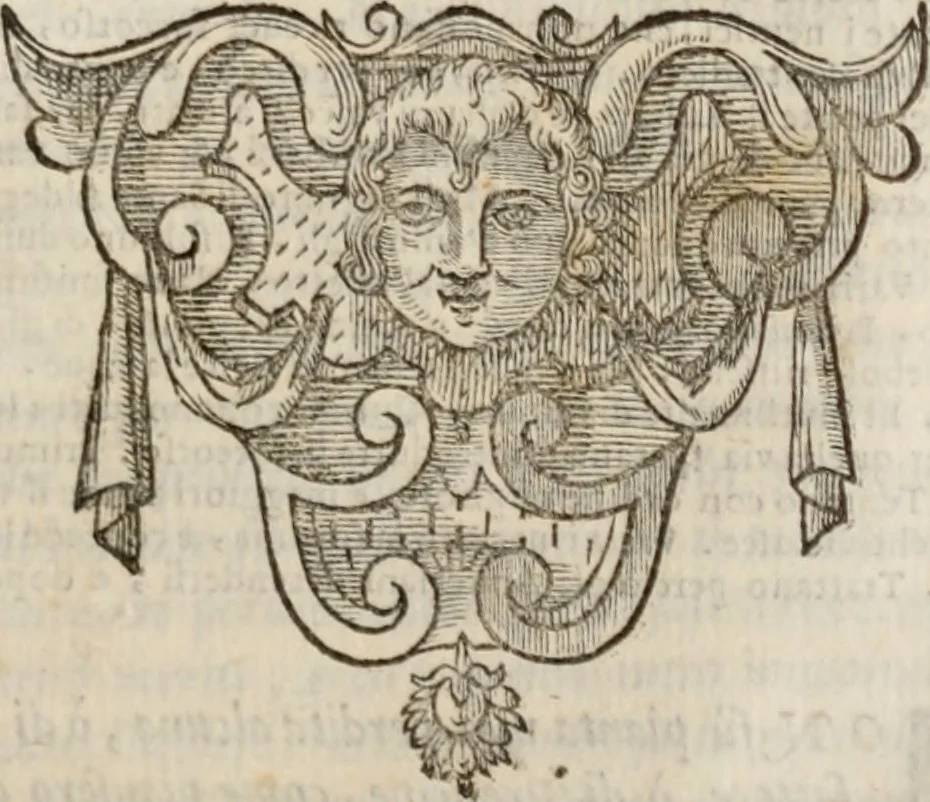 An illustration from Della gverra di Fiandra, 1637, leaf 386