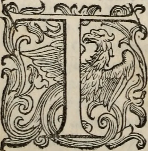 An illustration from Della gverra di Fiandra, 1637, leaf 419