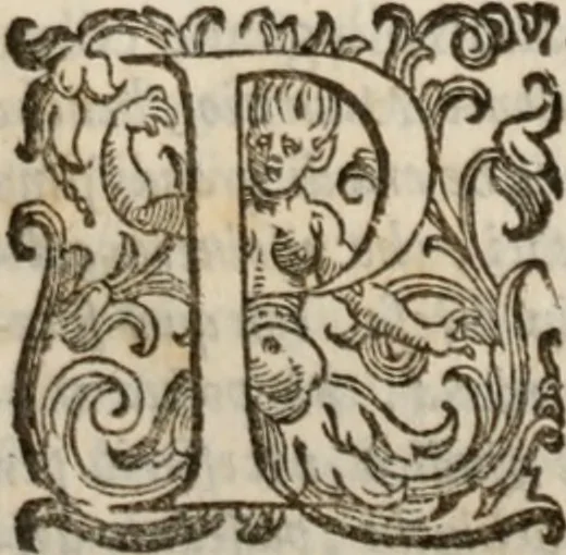 An illustration from Della gverra di Fiandra, 1637, leaf 458