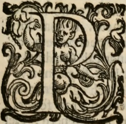 An illustration from Della gverra di Fiandra, 1637, leaf 50