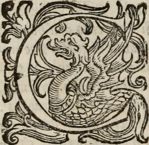 An illustration from Della gverra di Fiandra, 1637, leaf 75