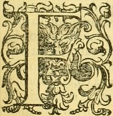 An illustration from Della historia di Bologna [parte prima], 1605, leaf 146