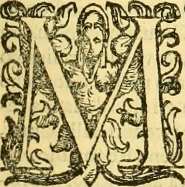 An illustration from Della historia di Bologna [parte prima], 1605, leaf 174