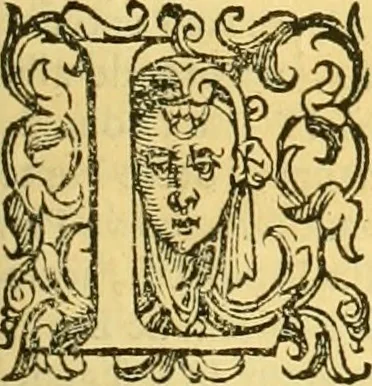An illustration from Della historia di Bologna [parte prima], 1605, leaf 328