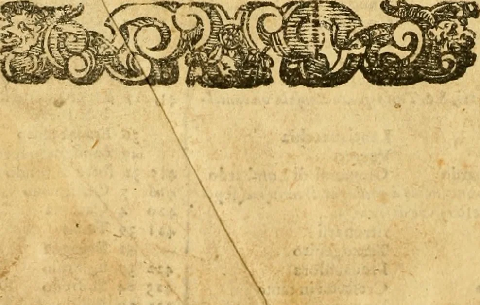 An illustration from Della historia di Bologna [parte prima], 1605, leaf 829