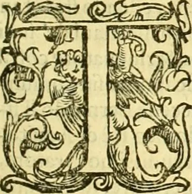 An illustration from Della historia di Bologna [parte prima], 1605, leaf 88