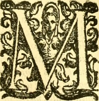 An illustration from Della historia di Bologna [parte prima], 1605, leaf 210