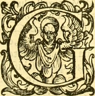 An illustration from Della historia di Bologna [parte prima], 1605, leaf 288