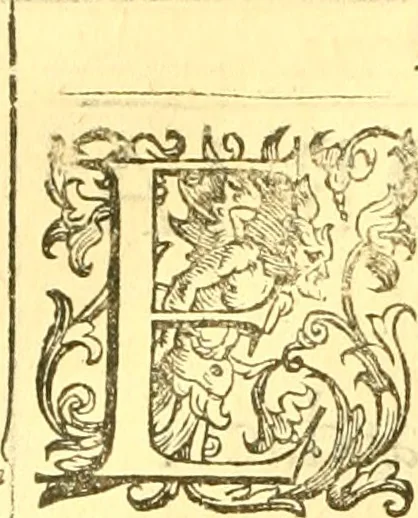 An illustration from Della historia di Bologna [parte prima], 1605, leaf 637