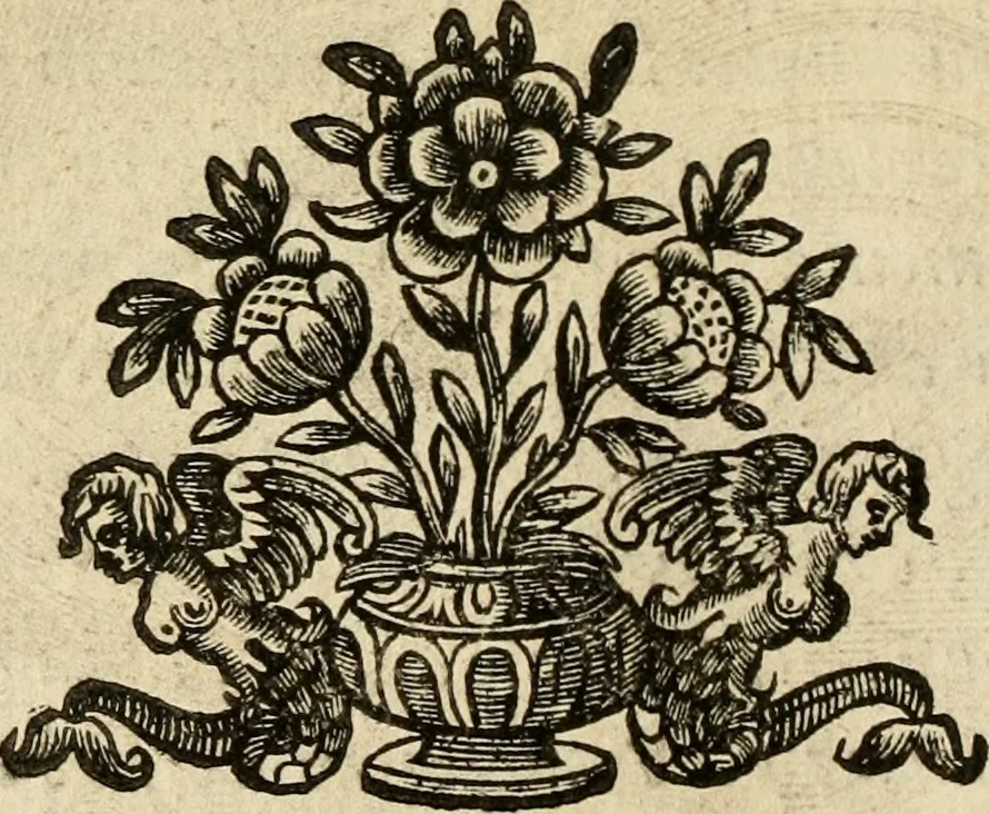 An illustration from Della historia di Corfu descritta, 1672, leaf 13