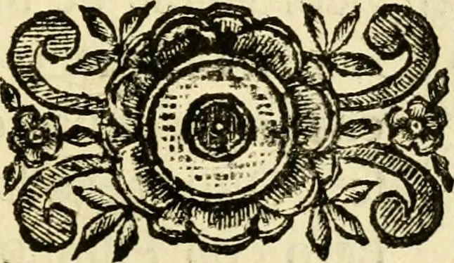 An illustration from Della historia di Corfu descritta, 1672, leaf 136