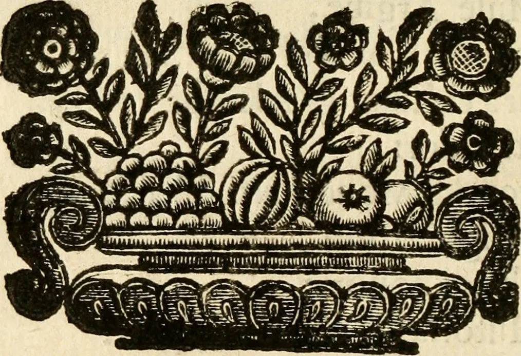 An illustration from Della historia di Corfu descritta, 1672, leaf 31