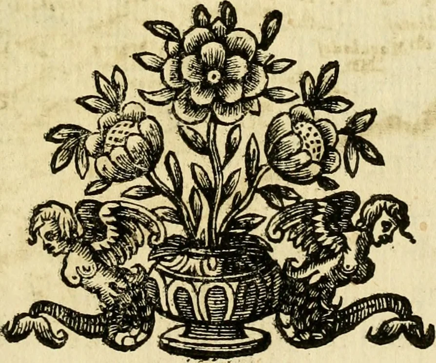An illustration from Della historia di Corfu descritta, 1672, leaf 42