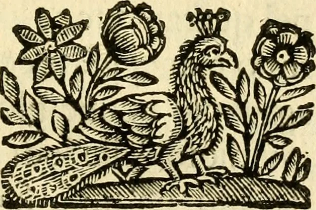 An illustration from Della historia di Corfu descritta, 1672, leaf 446