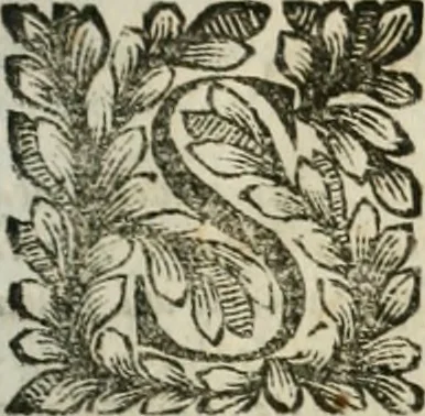 An illustration from Della historia d'Italia. Libri xlvi. Riv. dal medesimo autore, accresciuta e continuata, dall'anno 1625. sino al 1679, 1680, leaf 10