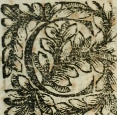 An illustration from Della historia d'Italia. Libri xlvi. Riv. dal medesimo autore, accresciuta e continuata, dall'anno 1625. sino al 1679, 1680, leaf 1032