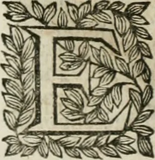 An illustration from Della historia d'Italia. Libri xlvi. Riv. dal medesimo autore, accresciuta e continuata, dall'anno 1625. sino al 1679, 1680, leaf 1079