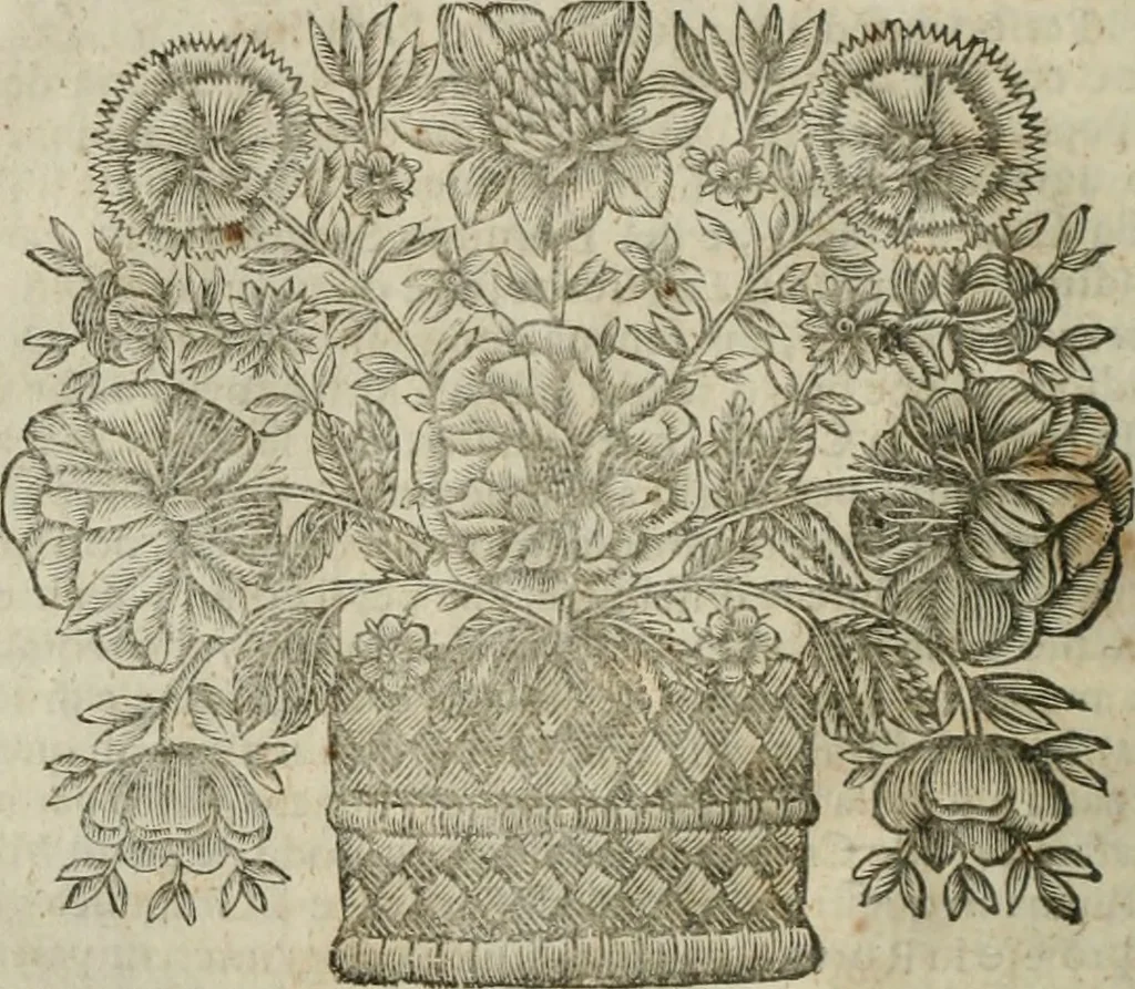 An illustration from Della historia d'Italia. Libri xlvi. Riv. dal medesimo autore, accresciuta e continuata, dall'anno 1625. sino al 1679, 1680, leaf 109