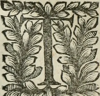 An illustration from Della historia d'Italia. Libri xlvi. Riv. dal medesimo autore, accresciuta e continuata, dall'anno 1625. sino al 1679, 1680, leaf 151