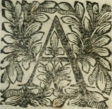 An illustration from Della historia d'Italia. Libri xlvi. Riv. dal medesimo autore, accresciuta e continuata, dall'anno 1625. sino al 1679, 1680, leaf 162