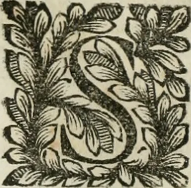 An illustration from Della historia d'Italia. Libri xlvi. Riv. dal medesimo autore, accresciuta e continuata, dall'anno 1625. sino al 1679, 1680, leaf 179