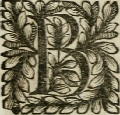 An illustration from Della historia d'Italia. Libri xlvi. Riv. dal medesimo autore, accresciuta e continuata, dall'anno 1625. sino al 1679, 1680, leaf 215