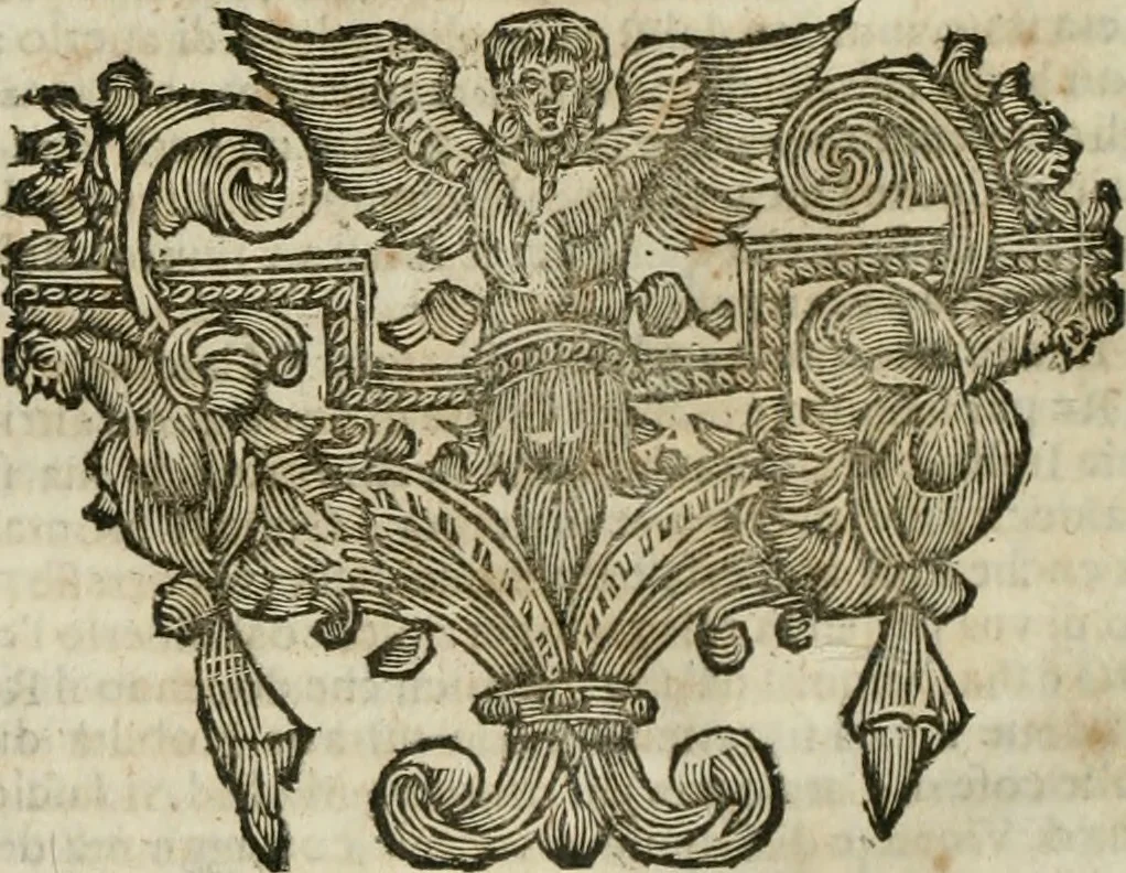 An illustration from Della historia d'Italia. Libri xlvi. Riv. dal medesimo autore, accresciuta e continuata, dall'anno 1625. sino al 1679, 1680, leaf 349