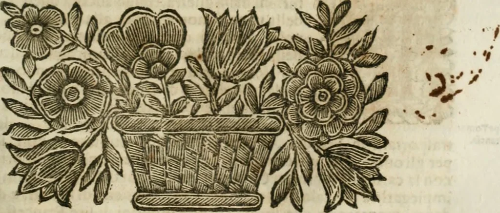 An illustration from Della historia d'Italia. Libri xlvi. Riv. dal medesimo autore, accresciuta e continuata, dall'anno 1625. sino al 1679, 1680, leaf 400