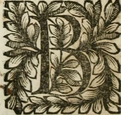 An illustration from Della historia d'Italia. Libri xlvi. Riv. dal medesimo autore, accresciuta e continuata, dall'anno 1625. sino al 1679, 1680, leaf 401