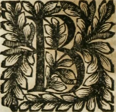 An illustration from Della historia d'Italia. Libri xlvi. Riv. dal medesimo autore, accresciuta e continuata, dall'anno 1625. sino al 1679, 1680, leaf 417