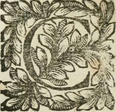 An illustration from Della historia d'Italia. Libri xlvi. Riv. dal medesimo autore, accresciuta e continuata, dall'anno 1625. sino al 1679, 1680, leaf 429
