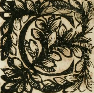 An illustration from Della historia d'Italia. Libri xlvi. Riv. dal medesimo autore, accresciuta e continuata, dall'anno 1625. sino al 1679, 1680, leaf 451