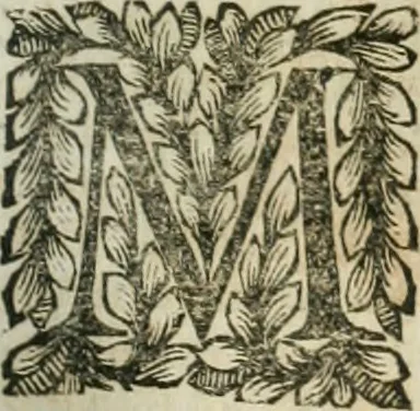 An illustration from Della historia d'Italia. Libri xlvi. Riv. dal medesimo autore, accresciuta e continuata, dall'anno 1625. sino al 1679, 1680, leaf 500