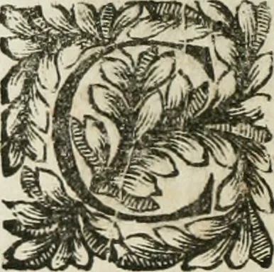 An illustration from Della historia d'Italia. Libri xlvi. Riv. dal medesimo autore, accresciuta e continuata, dall'anno 1625. sino al 1679, 1680, leaf 557