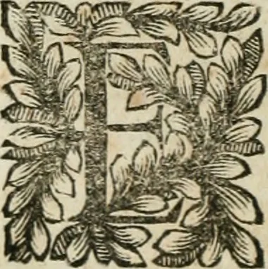 An illustration from Della historia d'Italia. Libri xlvi. Riv. dal medesimo autore, accresciuta e continuata, dall'anno 1625. sino al 1679, 1680, leaf 591