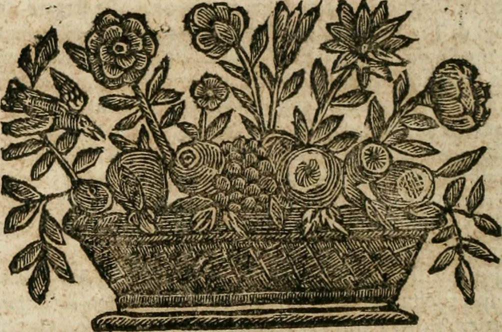 An illustration from Della historia d'Italia. Libri xlvi. Riv. dal medesimo autore, accresciuta e continuata, dall'anno 1625. sino al 1679, 1680, leaf 609
