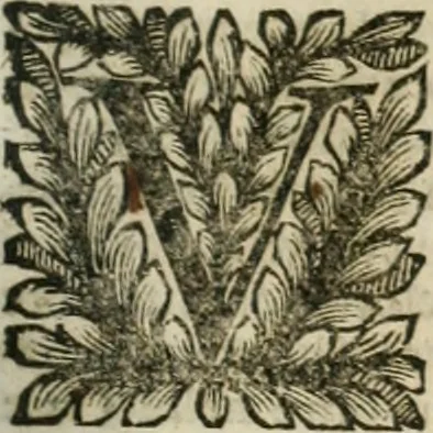 An illustration from Della historia d'Italia. Libri xlvi. Riv. dal medesimo autore, accresciuta e continuata, dall'anno 1625. sino al 1679, 1680, leaf 610