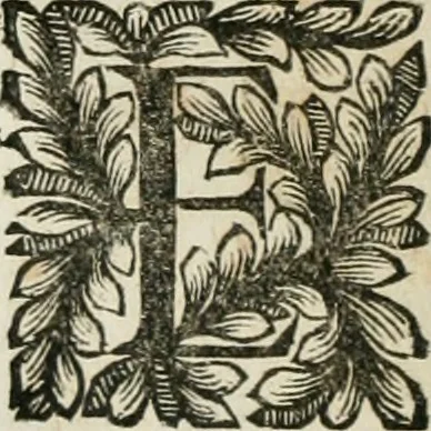 An illustration from Della historia d'Italia. Libri xlvi. Riv. dal medesimo autore, accresciuta e continuata, dall'anno 1625. sino al 1679, 1680, leaf 641