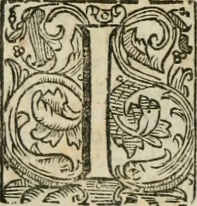 An illustration from Della historia d'Italia. Libri xlvi. Riv. dal medesimo autore, accresciuta e continuata, dall'anno 1625. sino al 1679, 1680, leaf 683