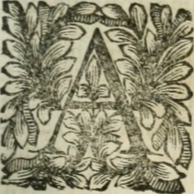 An illustration from Della historia d'Italia. Libri xlvi. Riv. dal medesimo autore, accresciuta e continuata, dall'anno 1625. sino al 1679, 1680, leaf 698