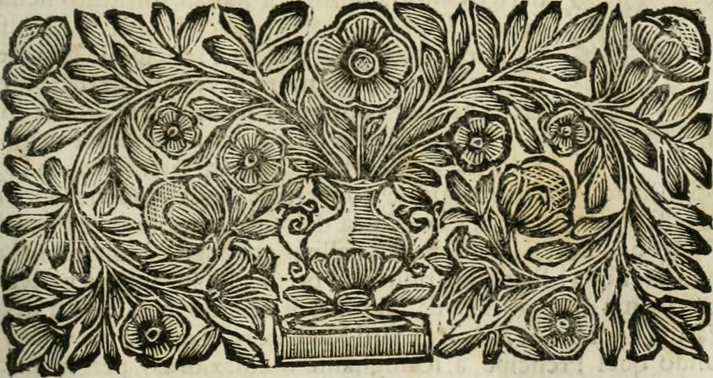An illustration from Della historia d'Italia. Libri xlvi. Riv. dal medesimo autore, accresciuta e continuata, dall'anno 1625. sino al 1679, 1680, leaf 708