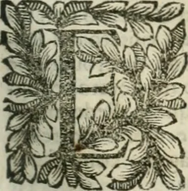 An illustration from Della historia d'Italia. Libri xlvi. Riv. dal medesimo autore, accresciuta e continuata, dall'anno 1625. sino al 1679, 1680, leaf 720