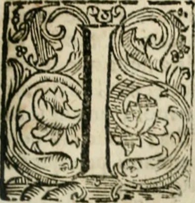 An illustration from Della historia d'Italia. Libri xlvi. Riv. dal medesimo autore, accresciuta e continuata, dall'anno 1625. sino al 1679, 1680, leaf 736