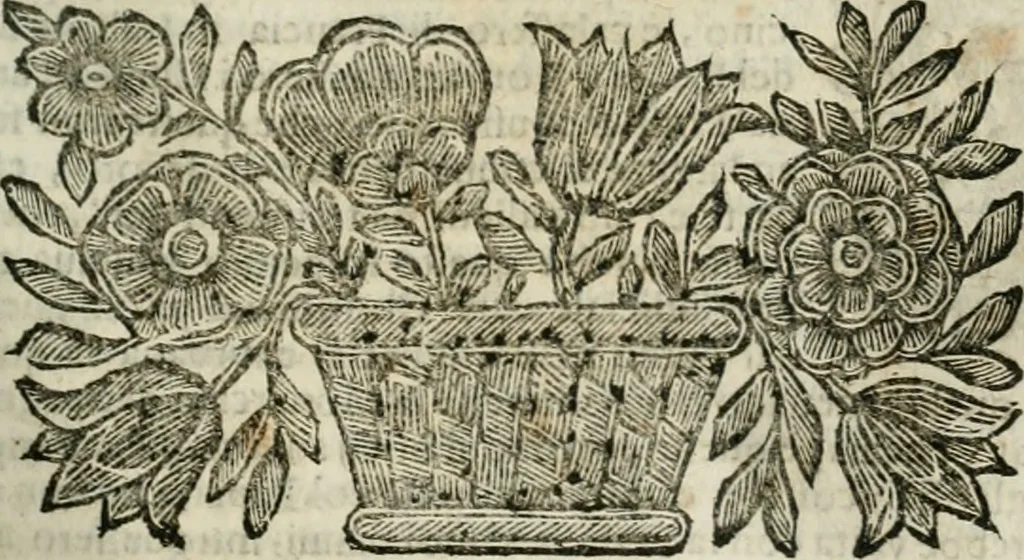 An illustration from Della historia d'Italia. Libri xlvi. Riv. dal medesimo autore, accresciuta e continuata, dall'anno 1625. sino al 1679, 1680, leaf 788