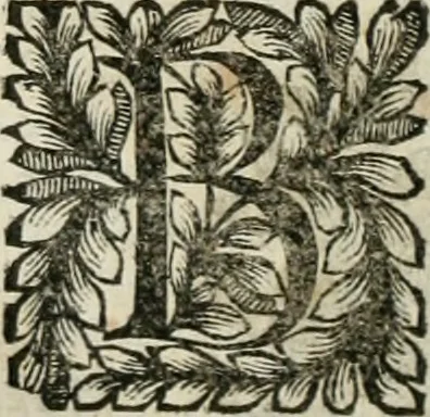 An illustration from Della historia d'Italia. Libri xlvi. Riv. dal medesimo autore, accresciuta e continuata, dall'anno 1625. sino al 1679, 1680, leaf 789